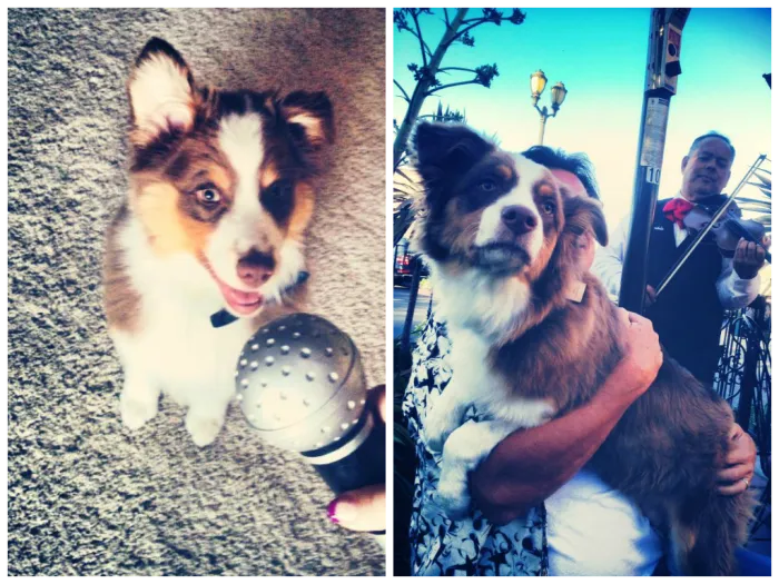 Kindle At 9 Weeks And 9 Months