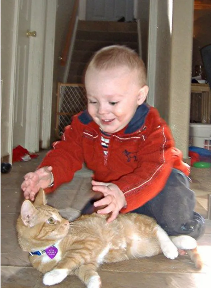 179 Heartwarming Photos Of Kids Playing With Their Cats