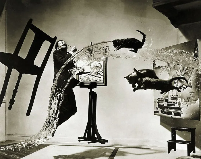 Jumping Cats At Play Look Like Ninjas 