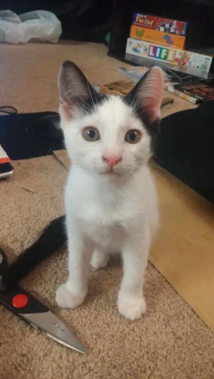 My Sweet Little Guy