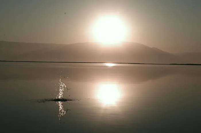 Shattered Silence - Dead Sea, Israel