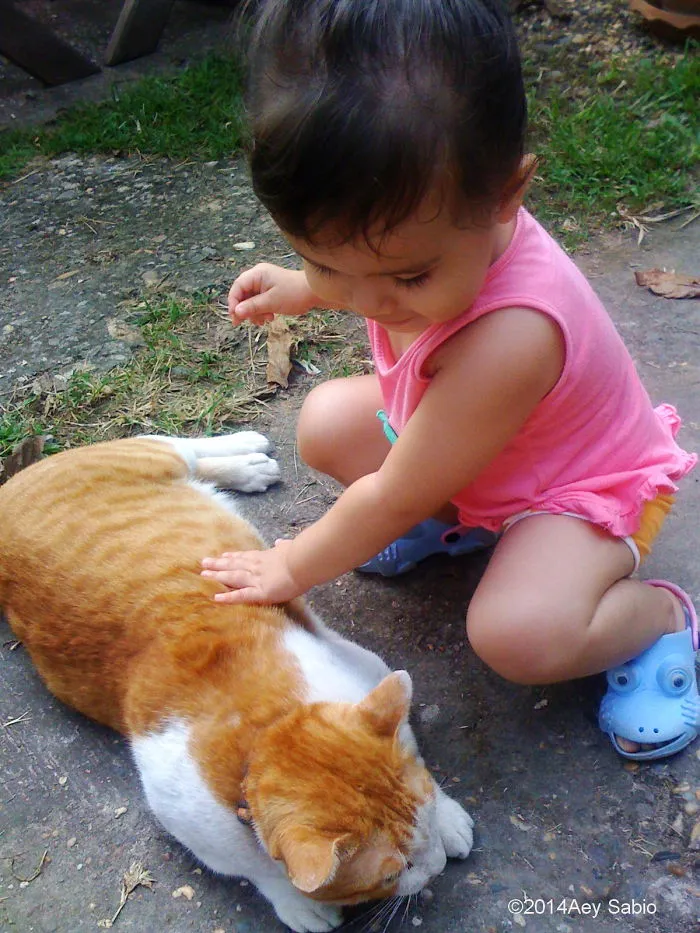 179 Heartwarming Photos Of Kids Playing With Their Cats