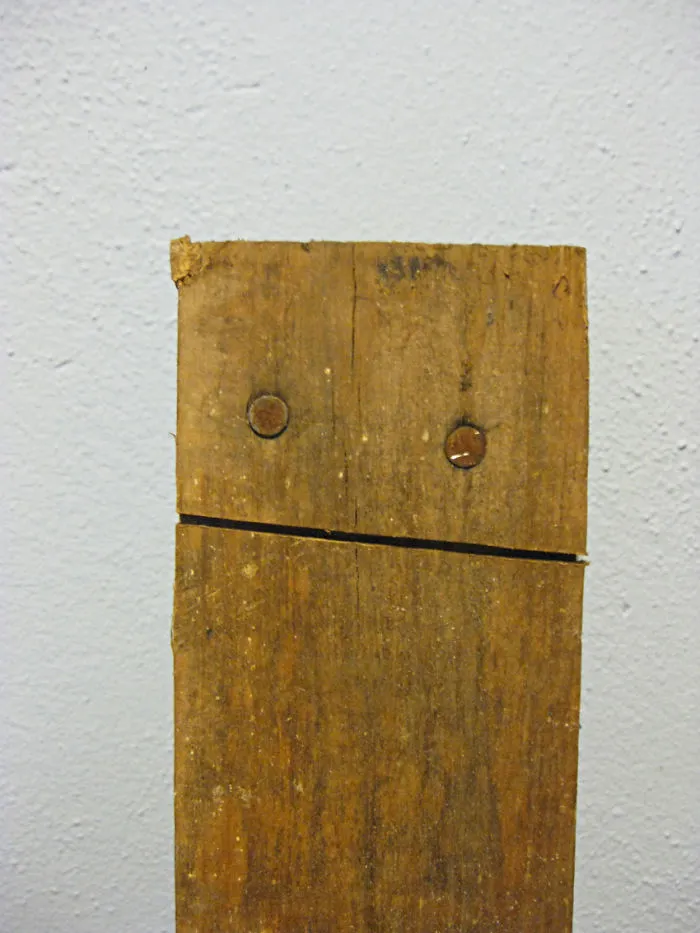 Busted Down A Bathroom Wall. This Guy Was Inside.
