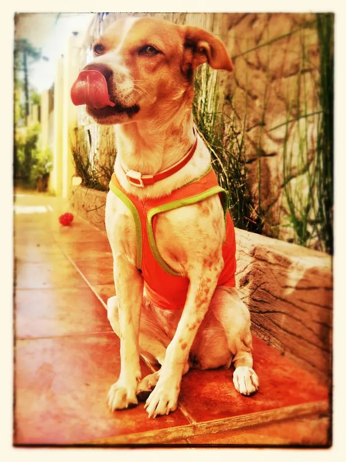 Chloe Sticking Out Her Tongue