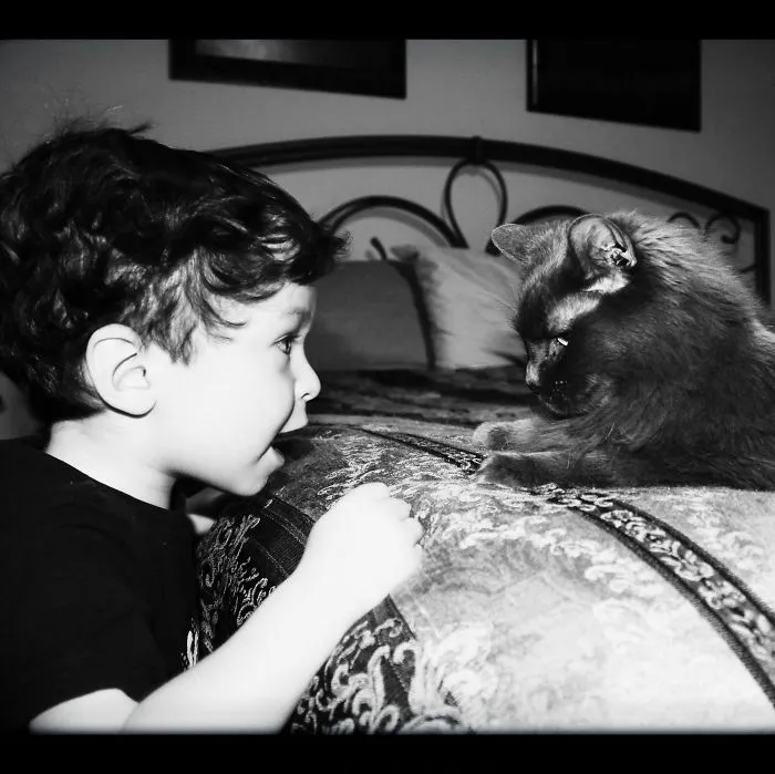 179 Heartwarming Photos Of Kids Playing With Their Cats