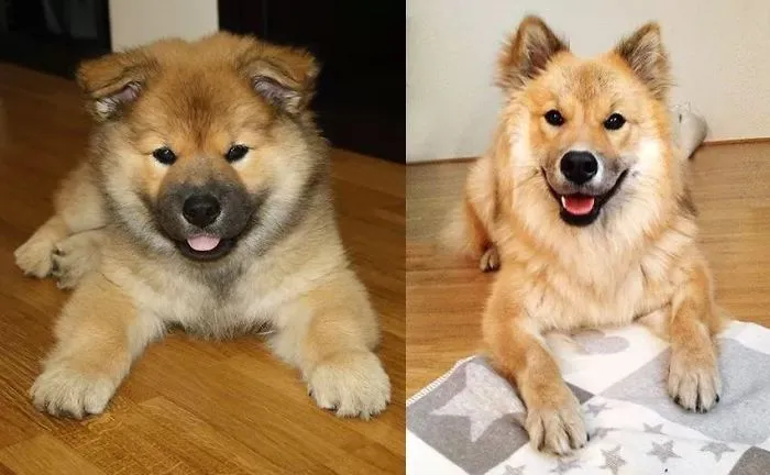 9 Weeks & 1 Year
