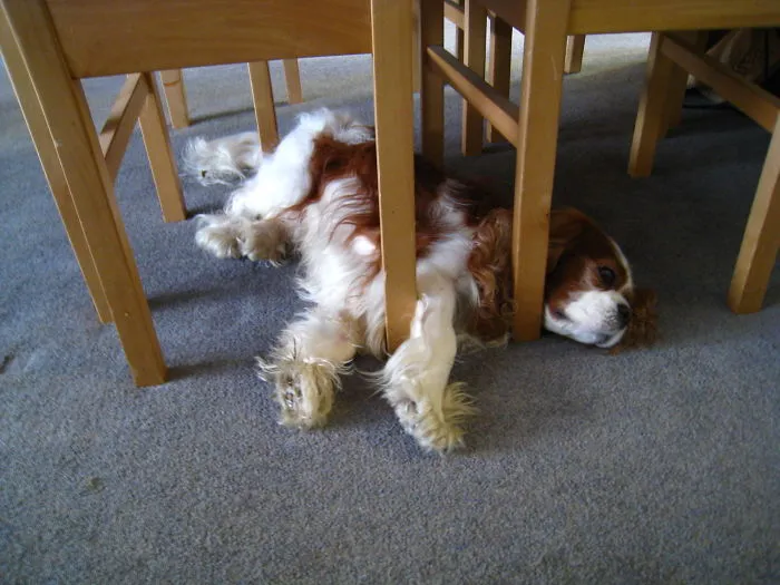 Henry Sleeping