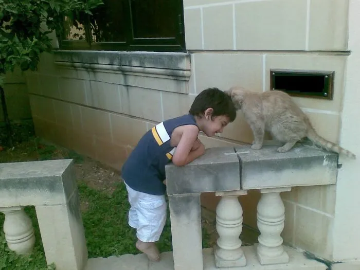 179 Heartwarming Photos Of Kids Playing With Their Cats