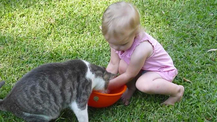 179 Heartwarming Photos Of Kids Playing With Their Cats