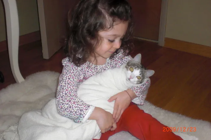 179 Heartwarming Photos Of Kids Playing With Their Cats