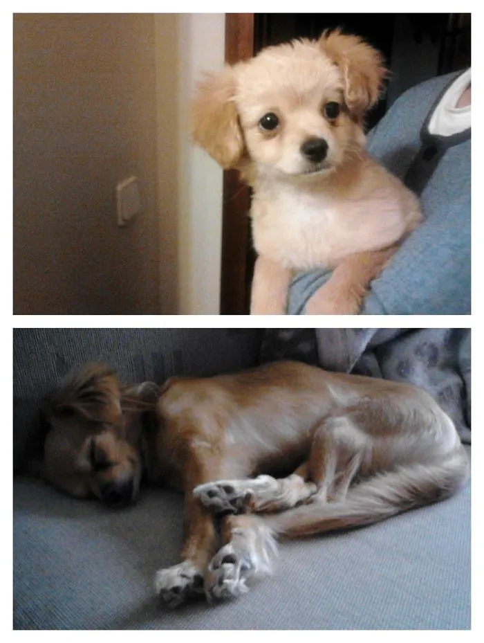 Lira 1 Year Apart :3