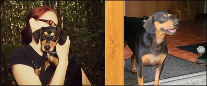 Four Years Apart.