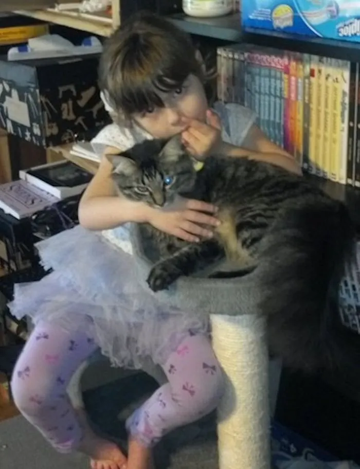 179 Heartwarming Photos Of Kids Playing With Their Cats