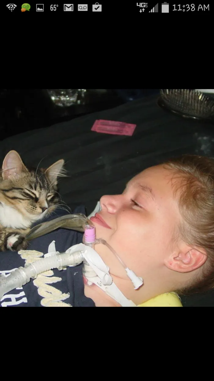 179 Heartwarming Photos Of Kids Playing With Their Cats