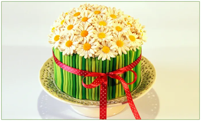 Daisies