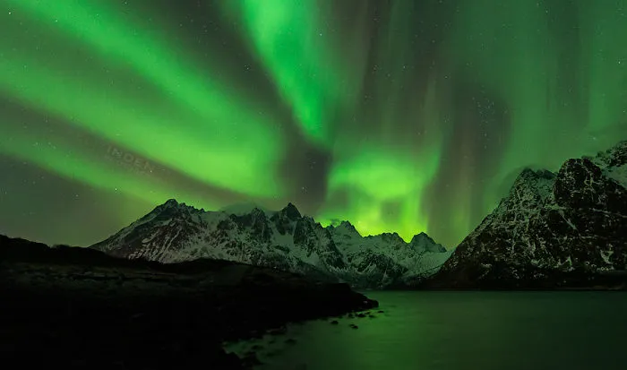 Spot The Bird- Aurora Borealis On Lofoten, Norway