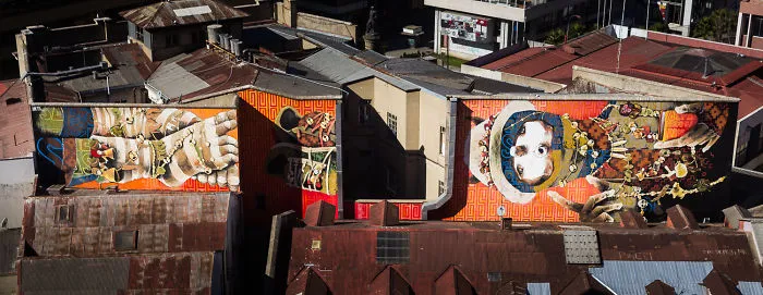 Valparaiso's Street Art.