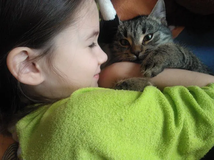 179 Heartwarming Photos Of Kids Playing With Their Cats