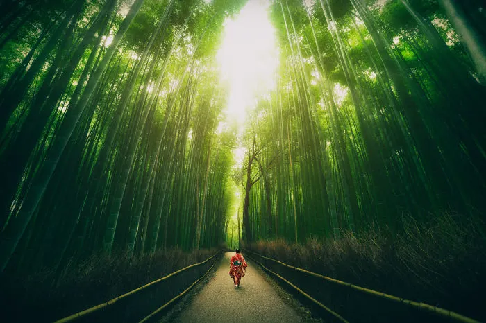Arashiyama, Japan