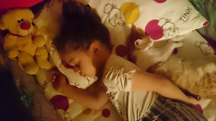 179 Heartwarming Photos Of Kids Playing With Their Cats