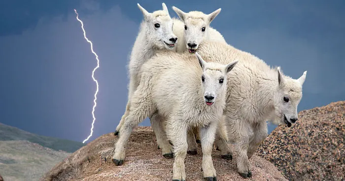 18 Of The Best Wilderness Photos From The Smithsonian's "Wilderness Forever" Photo Contest