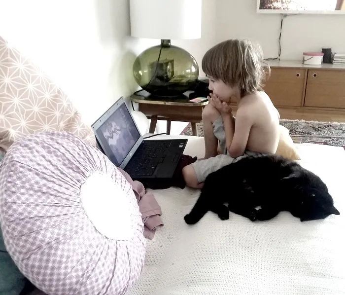179 Heartwarming Photos Of Kids Playing With Their Cats
