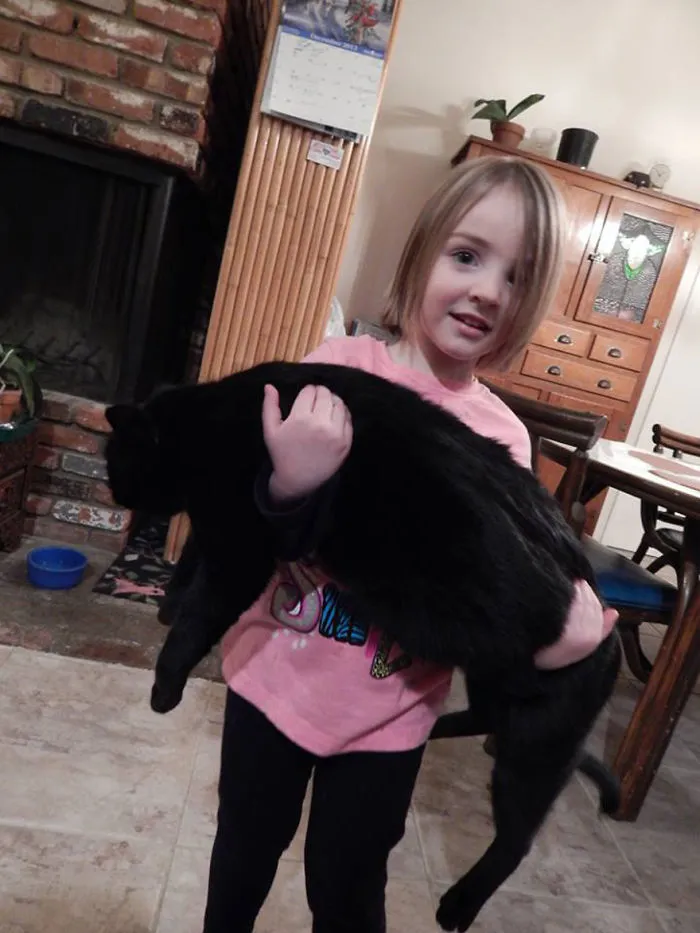 179 Heartwarming Photos Of Kids Playing With Their Cats