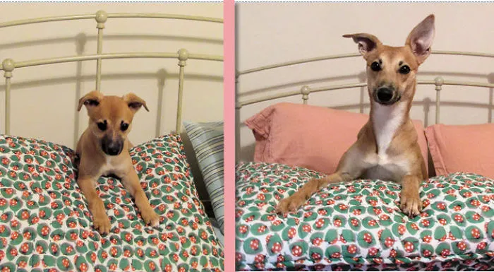 Cheeky Then And Now