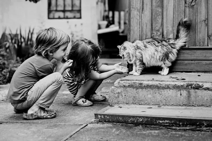 179 Heartwarming Photos Of Kids Playing With Their Cats