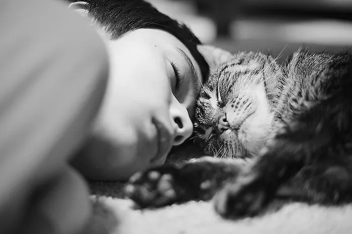 179 Heartwarming Photos Of Kids Playing With Their Cats