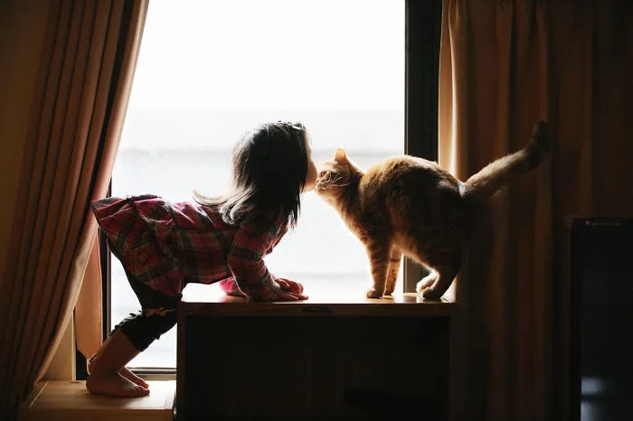 179 Heartwarming Photos Of Kids Playing With Their Cats