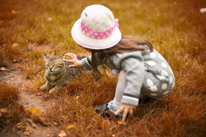 179 Heartwarming Photos Of Kids Playing With Their Cats