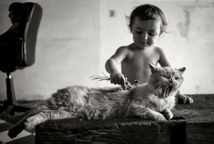 179 Heartwarming Photos Of Kids Playing With Their Cats
