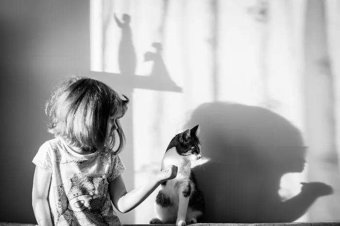179 Heartwarming Photos Of Kids Playing With Their Cats