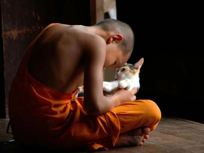 179 Heartwarming Photos Of Kids Playing With Their Cats