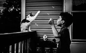 179 Heartwarming Photos Of Kids Playing With Their Cats
