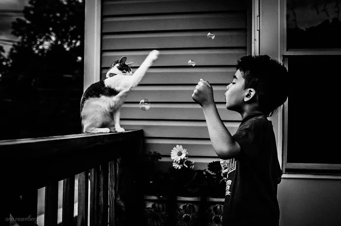 179 Heartwarming Photos Of Kids Playing With Their Cats