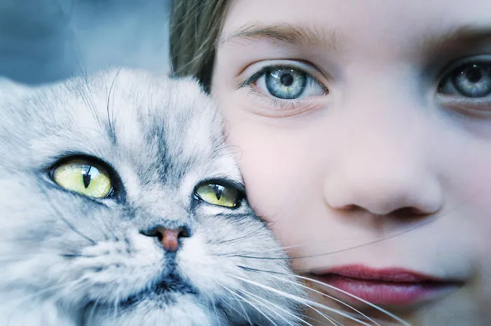 179 Heartwarming Photos Of Kids Playing With Their Cats