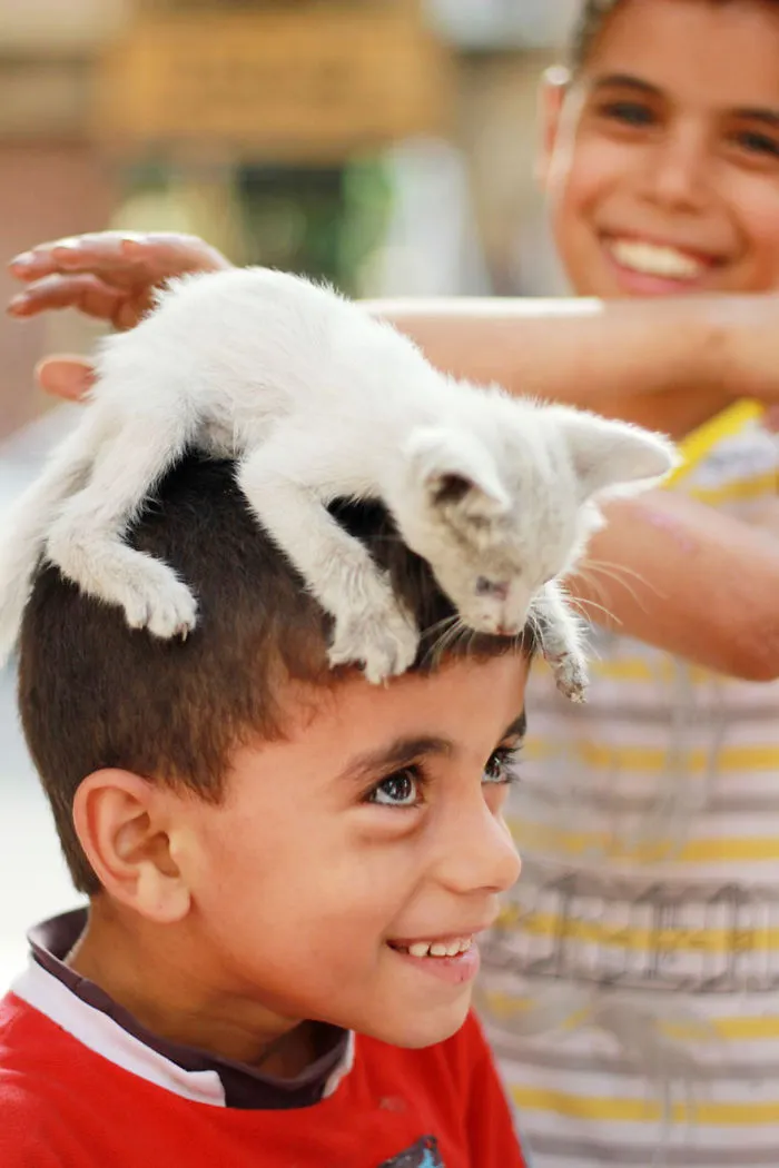 179 Heartwarming Photos Of Kids Playing With Their Cats