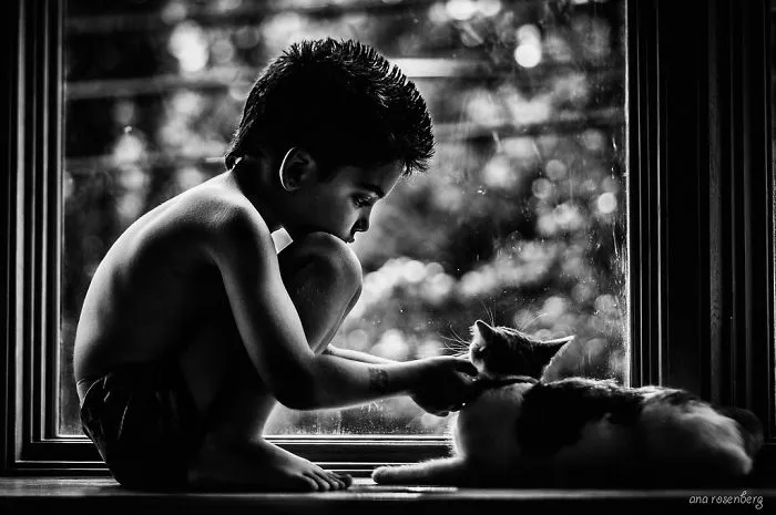 179 Heartwarming Photos Of Kids Playing With Their Cats