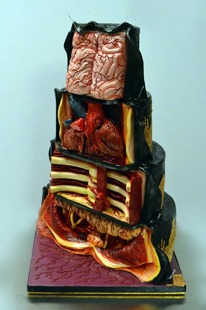 Human Organ Cake