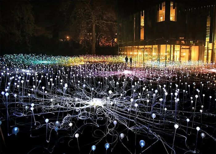 Glowing Fields