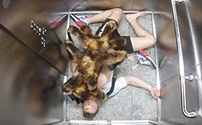 Pranksters Dressed A Dog Up As A Giant Spider To Scare People In Poland
