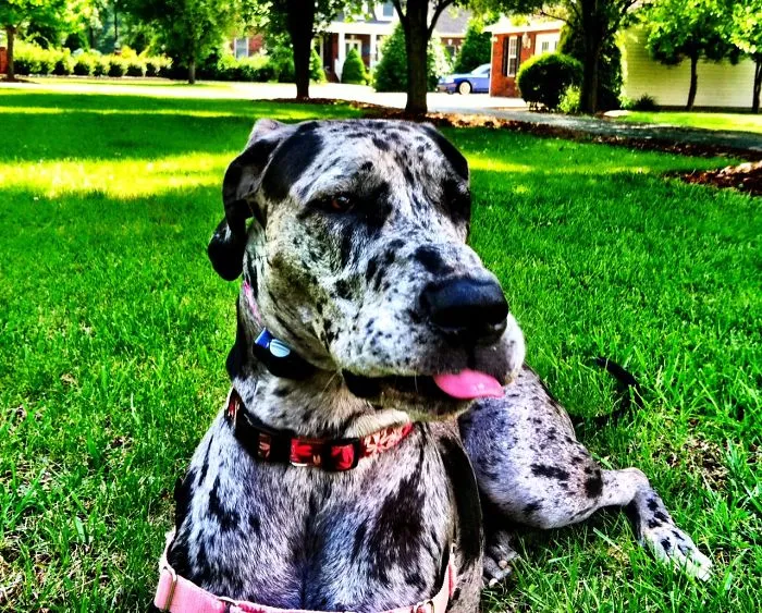 Gypsy Says Phhhh To Summer Ending~