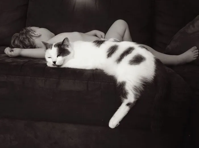 179 Heartwarming Photos Of Kids Playing With Their Cats