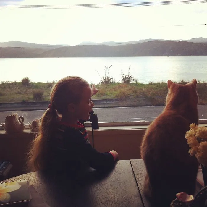 179 Heartwarming Photos Of Kids Playing With Their Cats