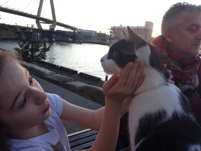 179 Heartwarming Photos Of Kids Playing With Their Cats