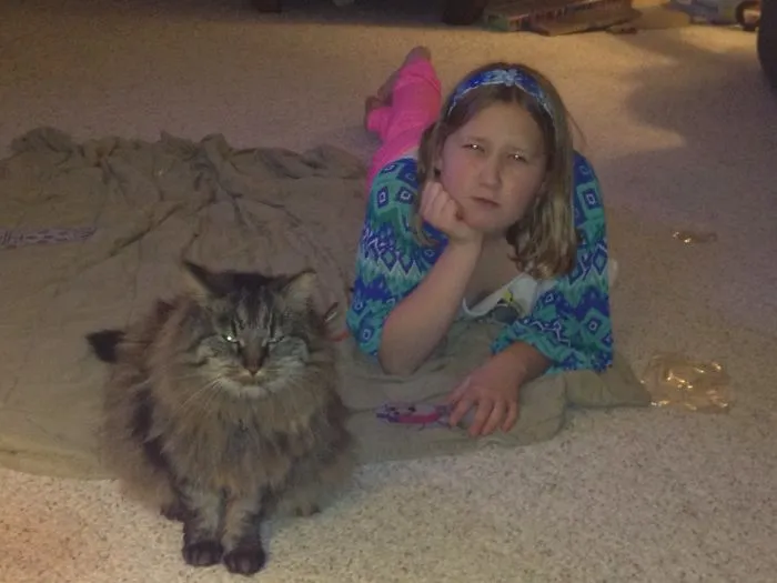 179 Heartwarming Photos Of Kids Playing With Their Cats
