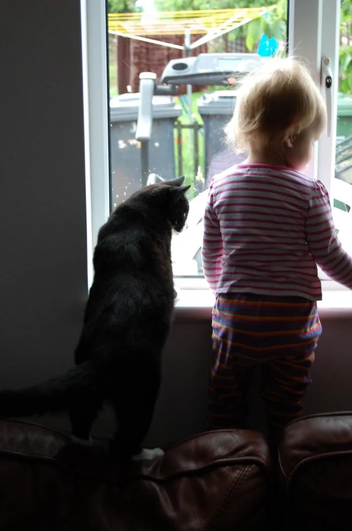 179 Heartwarming Photos Of Kids Playing With Their Cats