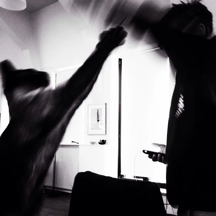 179 Heartwarming Photos Of Kids Playing With Their Cats